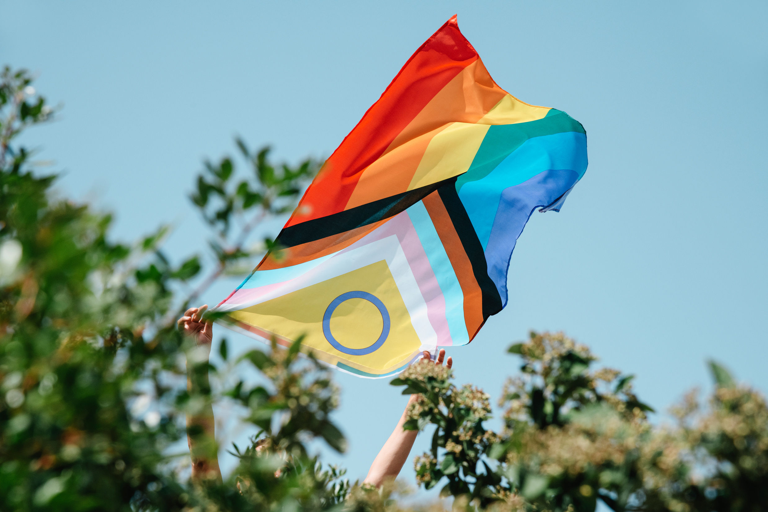 Person Holding a Progress Pride Flag Outdoors